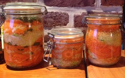 Les légumes lacto-fermentés : bons pour l’intestin, bons pour la santé !