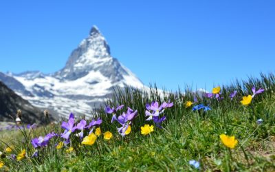 « La montagne, ça vous soigne ! »